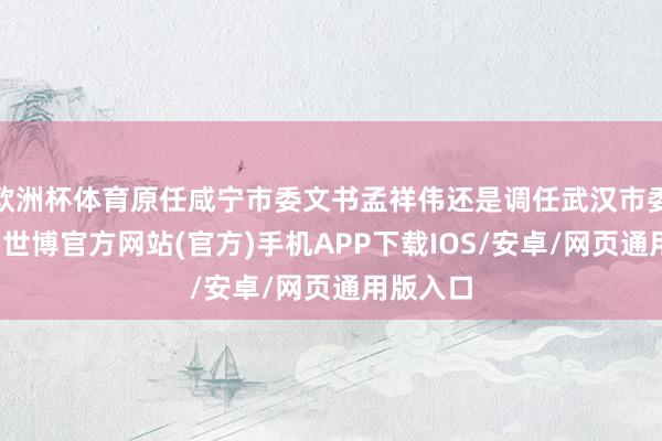 欧洲杯体育原任咸宁市委文书孟祥伟还是调任武汉市委副文书-世博官方网站(官方)手机APP下载IOS/安卓/网页通用版入口