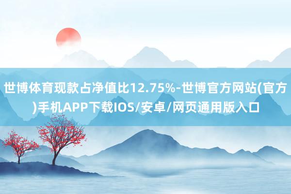 世博体育现款占净值比12.75%-世博官方网站(官方)手机APP下载IOS/安卓/网页通用版入口