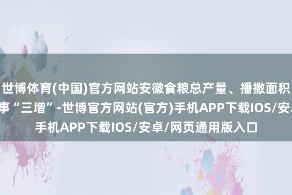 世博体育(中国)官方网站安徽食粮总产量、播撒面积、单元面积产量竣事“三增”-世博官方网站(官方)手机APP下载IOS/安卓/网页通用版入口