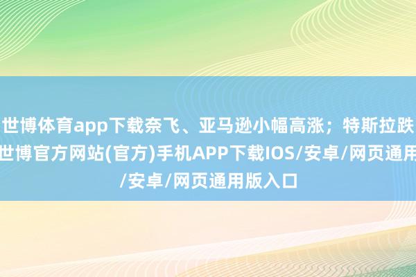 世博体育app下载奈飞、亚马逊小幅高涨；特斯拉跌超3%-世博官方网站(官方)手机APP下载IOS/安卓/网页通用版入口