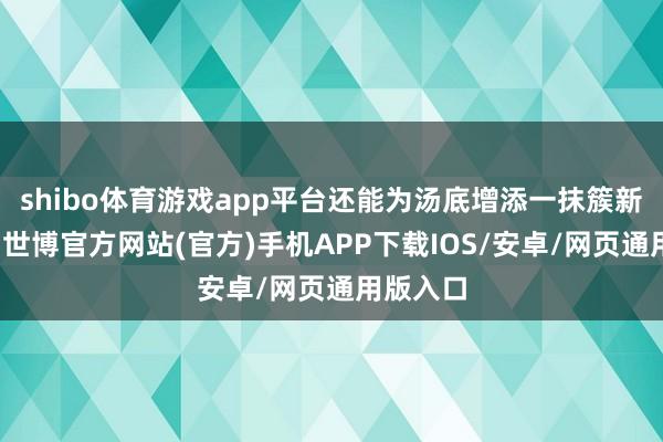 shibo体育游戏app平台还能为汤底增添一抹簇新的尾香-世博官方网站(官方)手机APP下载IOS/安卓/网页通用版入口