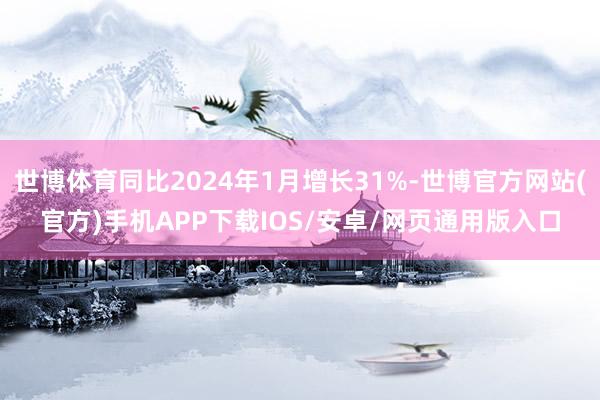 世博体育同比2024年1月增长31%-世博官方网站(官方)手机APP下载IOS/安卓/网页通用版入口